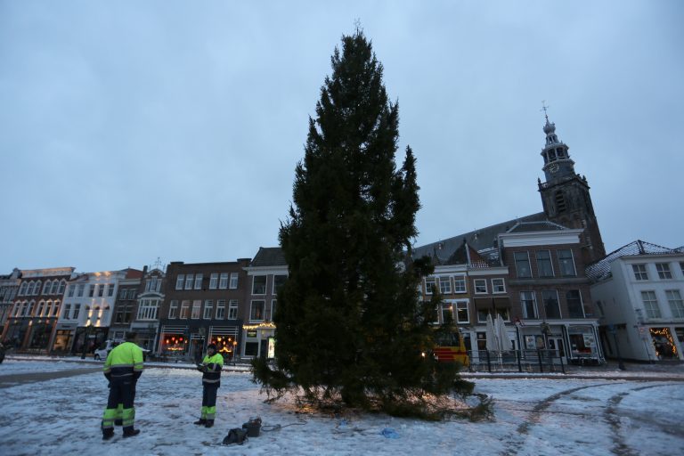 Kerstboom vanochtend gearriveerd