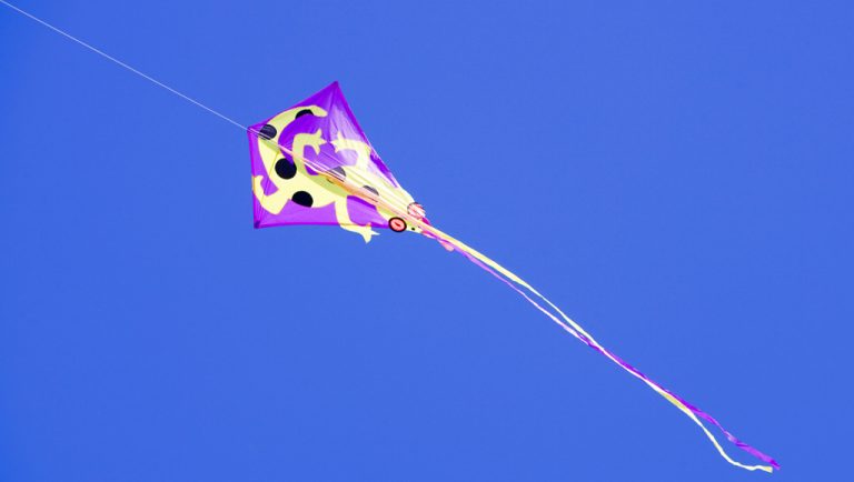 Do. 23-8: Workshop vlieger versieren bij De Goudse Hofsteden