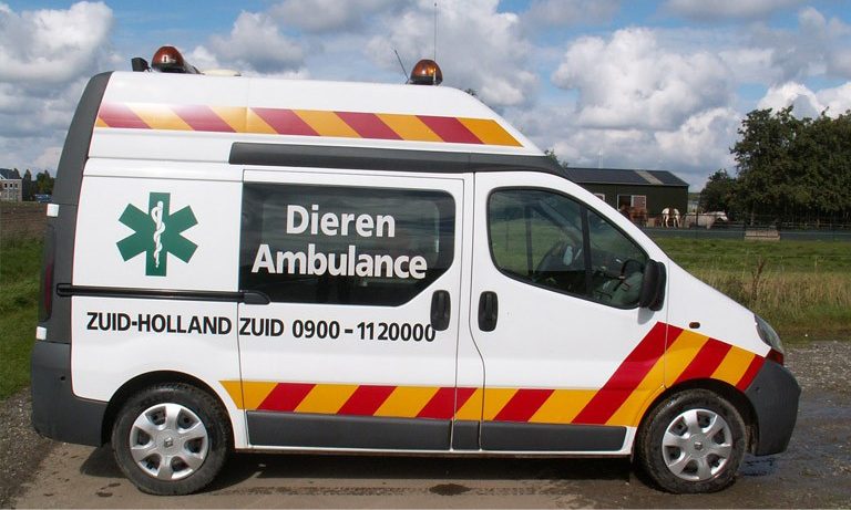 Vrij. 31-8: Dierenambulance Gouda komt op Kinderboerderij Dierendal.