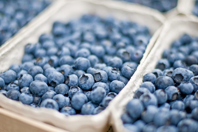 Za. 28-7: Change of Key treedt op tijdens Blueberry Day