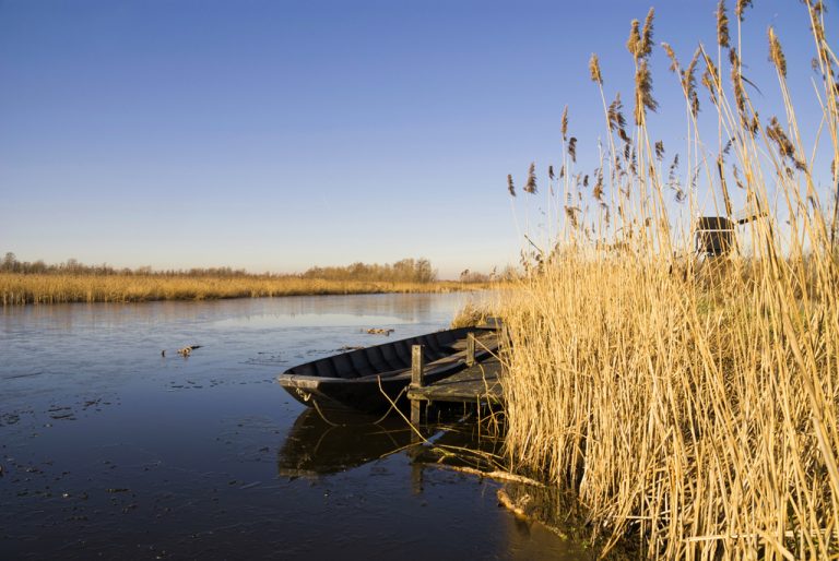 Woe. 25-7: OERRR watersafari bij de Nieuwkoopse Plassen