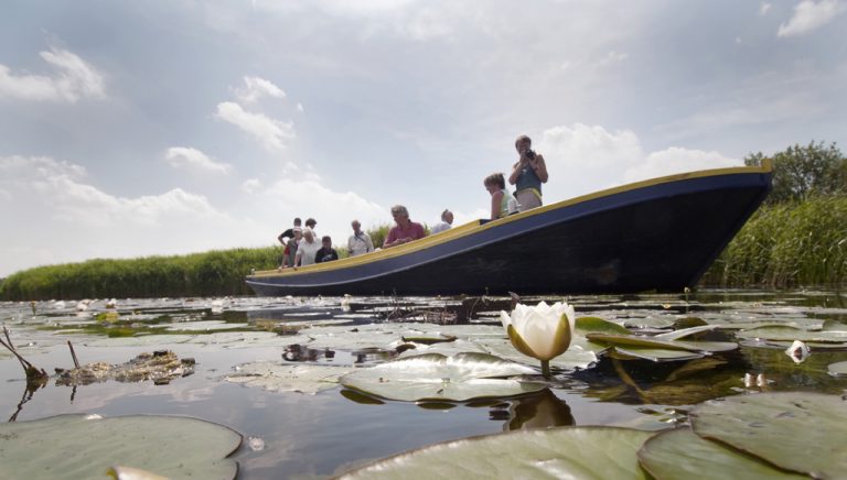 Vr. 27-7: Varen door nieuw leven in het veen