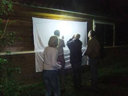 Vr. 24-8: Nachtvlinders kijken bij infocentrum Heempad