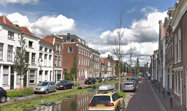 VVD Gouda: parkeerplekken vervangen door groen
