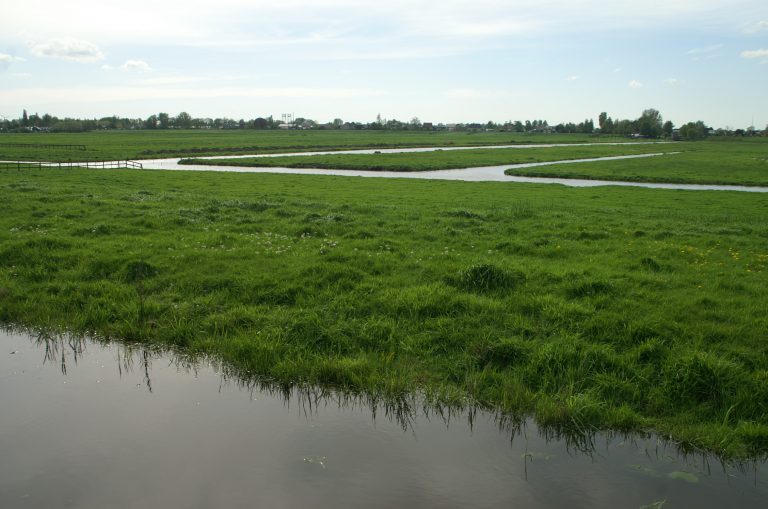 Woe. 13-03: Waterschapsverkiezingen debat over bodemdaling