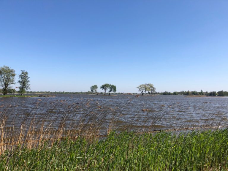 Nog nooit was er zoveel onzekerheid over je vakantie als dit jaar