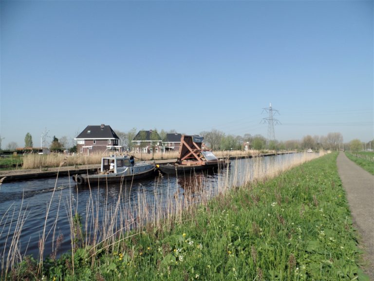Meer bloemen op de dijken langs de Hollandse IJssel