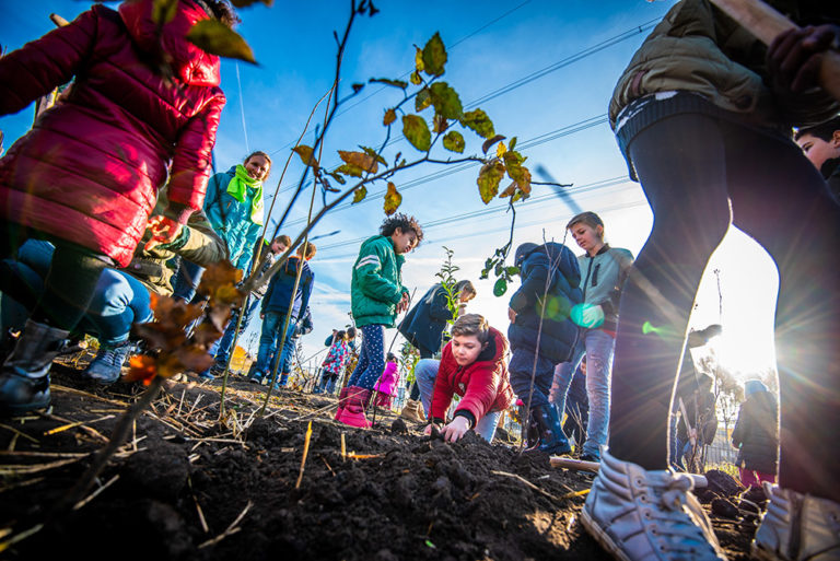 Veel animo voor Goudse Voedselbosjes op schoolplein zorgt voor tweede bosje