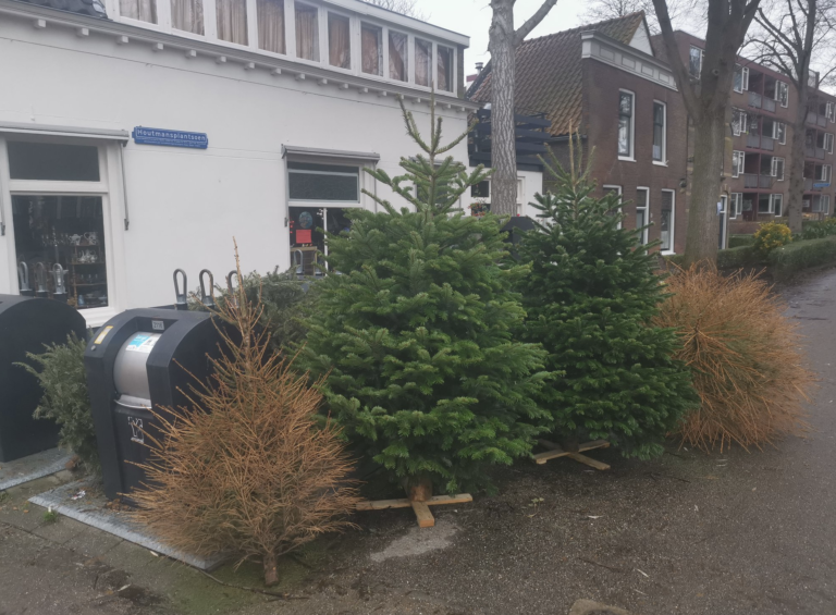 Kerstbomen die bij afvalbakken liggen worden tot 14 januari opgehaald