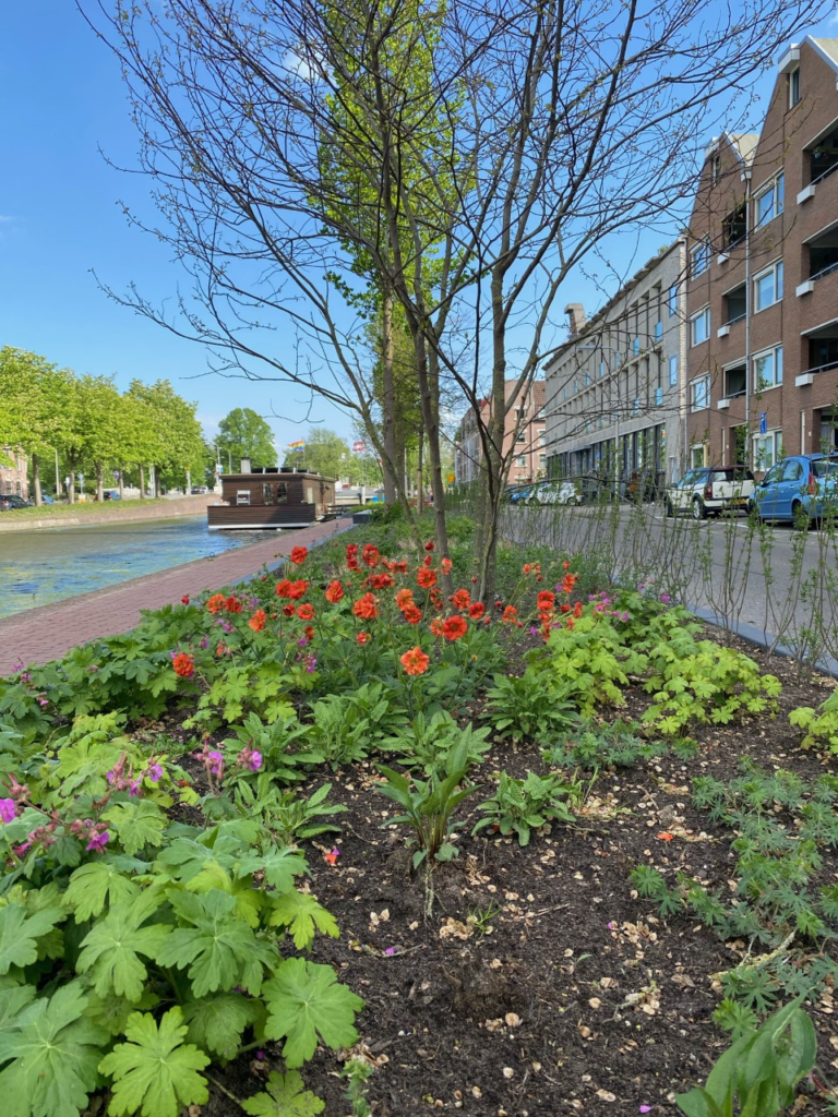 Singelpark Gouda officieel geopend