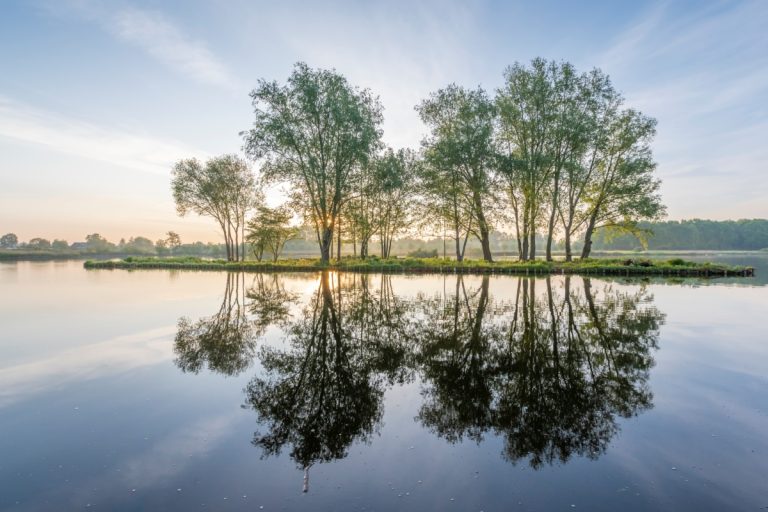 Bestuur Groenalliantie stelt nieuw Ontwikkelplan vast: Groen voor iedereen