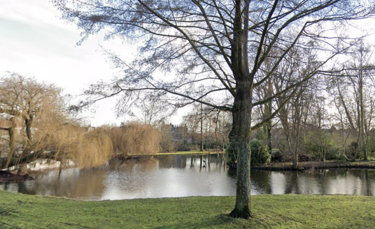 Grootschalige bomenkap Van Bergen IJzendoornpark onvermijdelijk