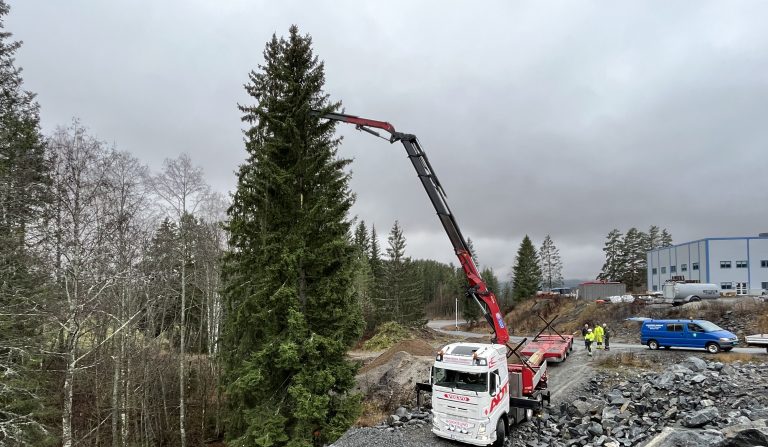 Noorse kerstboom is onderweg naar Gouda