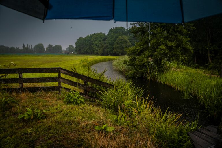 Voldoende (regen)zoetwater heeft verzilting West-Nederland gestopt